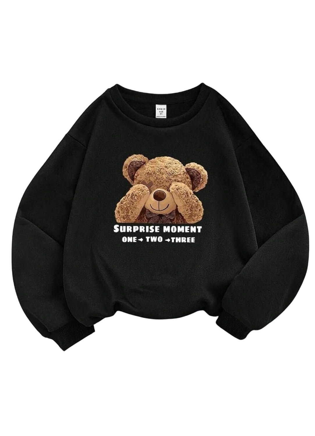 Women's Sweatshirt | Women Winter Wear | Printed (Sweatshirt) for Women | Womens Winter wear | Oversized Pullover Sweatshirts - Image 14