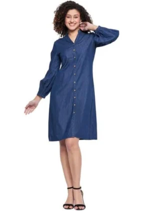 Generic Women's Casual Denim Full sleeve Dress (Blue)